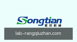 让球站